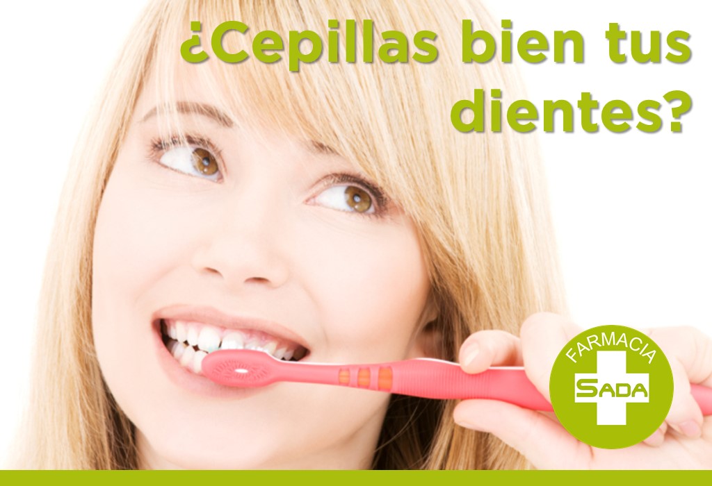 ¿Cepillas bien tus dientes?