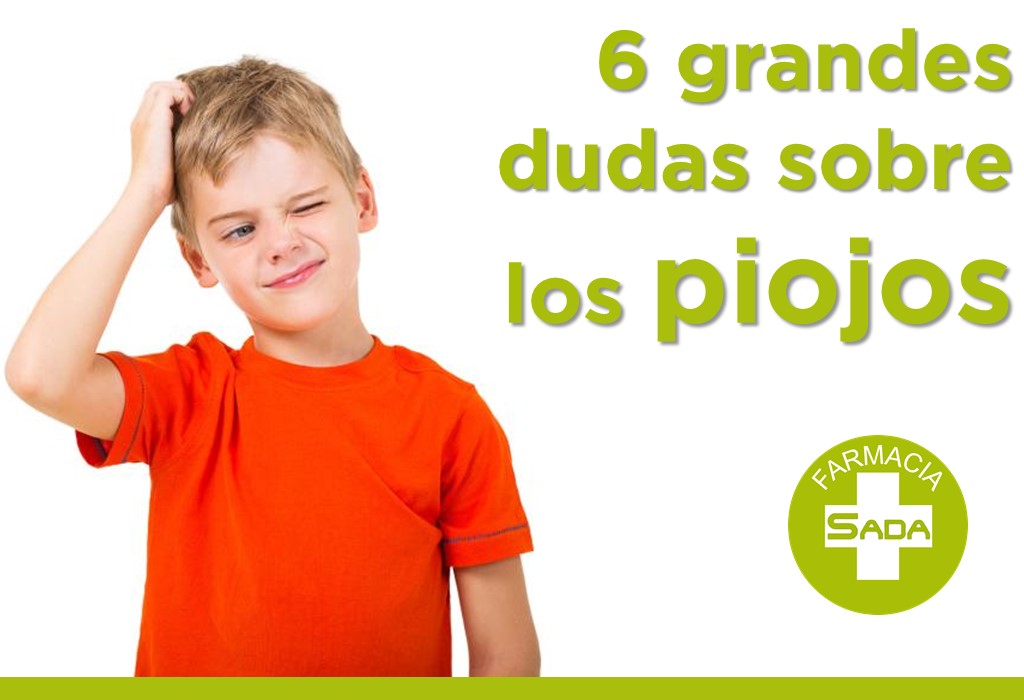 6 grandes dudas sobre los piojos