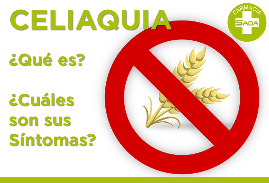 CELIAQUÍA ¿Qué es? ¿Cuáles son sus síntomas?