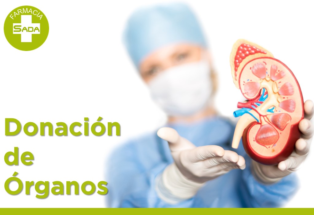 Donación de Órganos
