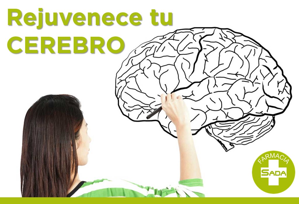 Rejuvenece tu Cerebro