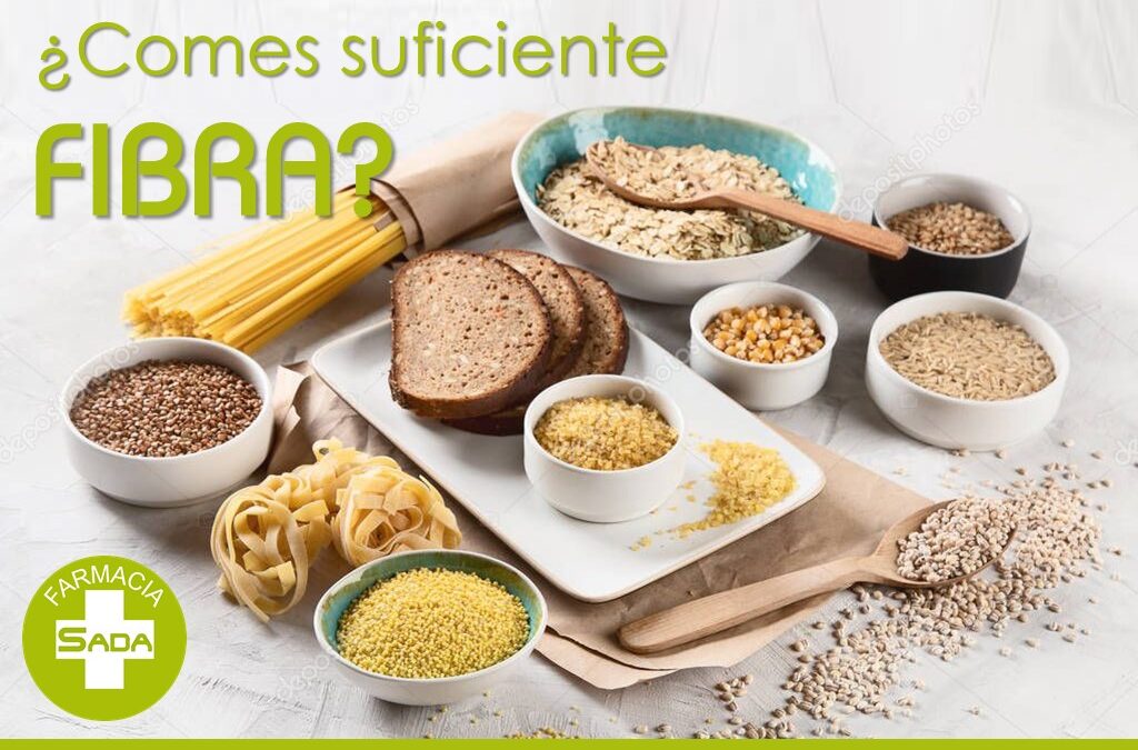 ¿Comes suficiente fibra? La gran aliada de tu digestión, tu corazón y tu microbiota