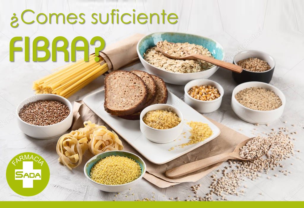 ¿Comes suficiente fibra? La gran aliada de tu digestión, tu corazón y tu microbiota